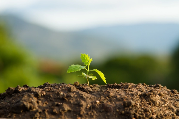 ISO 14001:2015 - Milieumanagementsysteem