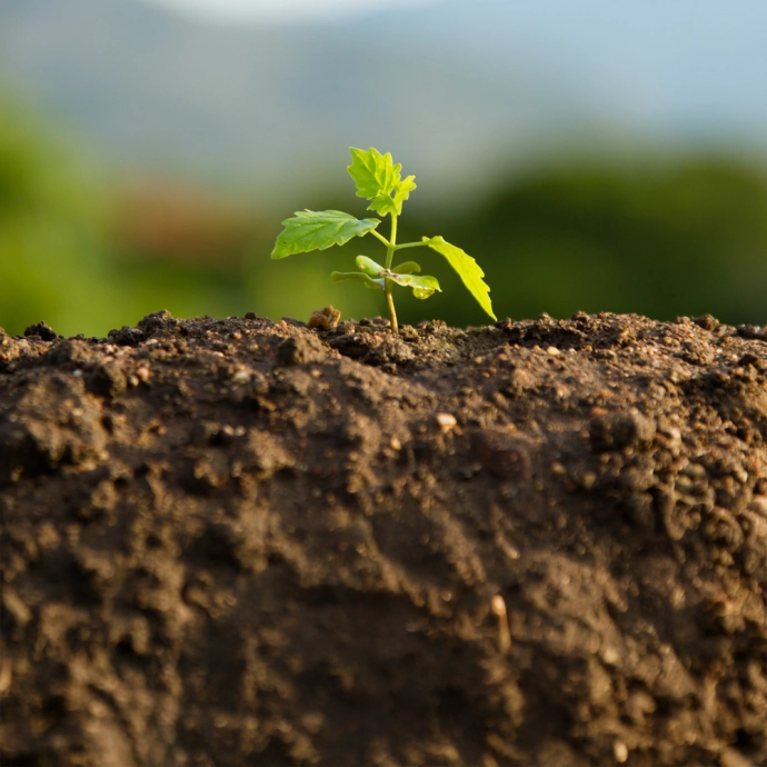 ISO 14001:2015 Milieumanagementsysteem